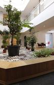Туры в отель Pera Hotel Luleburgaz