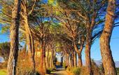 Туры в отель Relais Villa al Vento