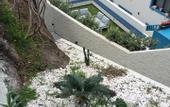 Туры в отель Mediterraneo Madeira