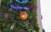 Туры в отель Mediterraneo Madeira