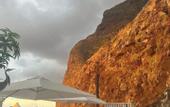 Туры в отель Mediterraneo Madeira
