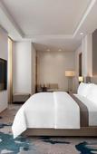 Туры в отель The Westin Manila