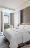 Туры в отель The Westin Manila