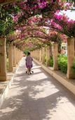 Туры в отель Intelier Rosella Hotel by Intelier Hotels & Suites
