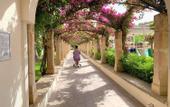 Туры в отель Intelier Rosella Hotel by Intelier Hotels & Suites