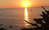 Туры в отель Mediterranean Boutique Hotel