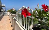 Туры в отель Mediterranean Boutique Hotel