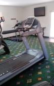Туры в отель Los Cedros Hotel Inn Nuevo Casas Grandes