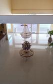 Туры в отель Los Cedros Hotel Inn Nuevo Casas Grandes