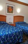 Туры в отель Los Cedros Hotel Inn Nuevo Casas Grandes