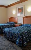 Туры в отель Los Cedros Hotel Inn Nuevo Casas Grandes