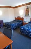 Туры в отель Los Cedros Hotel Inn Nuevo Casas Grandes
