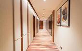 Туры в отель Regenta Place Chandigarh Mohali
