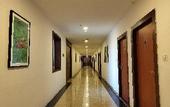 Туры в отель Regenta Place Chandigarh Mohali