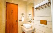 Туры в отель Regenta Place Chandigarh Mohali