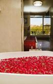 Туры в отель Regenta Place Jhansi by Royal Orchid Hotels Limited
