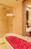 Туры в отель Regenta Place Jhansi by Royal Orchid Hotels Limited