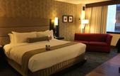 Туры в отель The Armon Stamford Hotel & Conference
