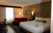 Туры в отель The Armon Stamford Hotel & Conference