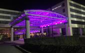 Туры в отель The Armon Stamford Hotel & Conference