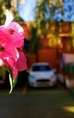 Туры в отель Hotel Itavera