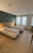 Туры в отель Hotel Poellners