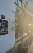 Туры в отель Hotel Poellners