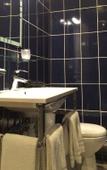 Туры в отель Hotel le Berthelot