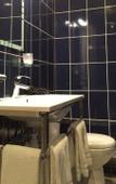 Туры в отель Hotel le Berthelot