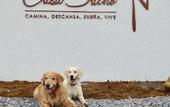Туры в отель Casa Sueno