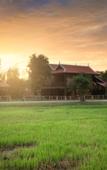 Туры в отель Mane Colonial Classic