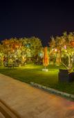 Туры в отель Hotel Zeytin Bahcesi