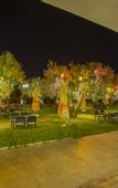Туры в отель Hotel Zeytin Bahcesi