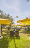 Туры в отель Hotel Zeytin Bahcesi