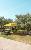 Туры в отель Hotel Zeytin Bahcesi