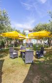 Туры в отель Hotel Zeytin Bahcesi