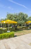 Туры в отель Hotel Zeytin Bahcesi