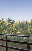 Туры в отель Hotel Zeytin Bahcesi
