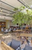 Туры в отель Hotel Zeytin Bahcesi
