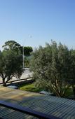 Туры в отель Hotel Zeytin Bahcesi