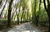 Туры в отель Fantastic Garden
