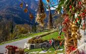Туры в отель Dolomiti Lodge Villa Gaia