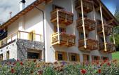 Туры в отель Dolomiti Lodge Villa Gaia