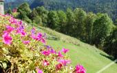 Туры в отель Dolomiti Lodge Villa Gaia