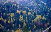 Туры в отель Dolomiti Lodge Villa Gaia