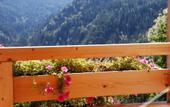 Туры в отель Dolomiti Lodge Villa Gaia