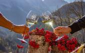 Туры в отель Dolomiti Lodge Villa Gaia