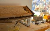 Туры в отель Dolomiti Lodge Villa Gaia