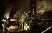 Туры в отель Halo Sustainable Resort Karimunjawa