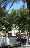 Туры в отель Hotel Blauet by Bossh Hotels